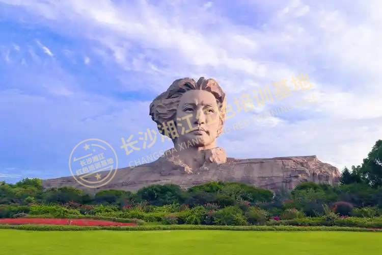学习贯彻党的二十届三中全会精神专题