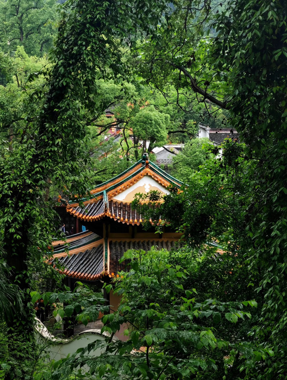 长沙红色教育基地.jpg