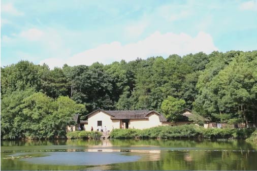 韶山干部培训学院,韶山红色教育