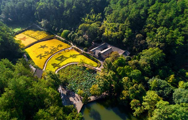 韶山干部培训基地,韶山红色教育培训 韶山干部培训基地,韶山红色教育培训