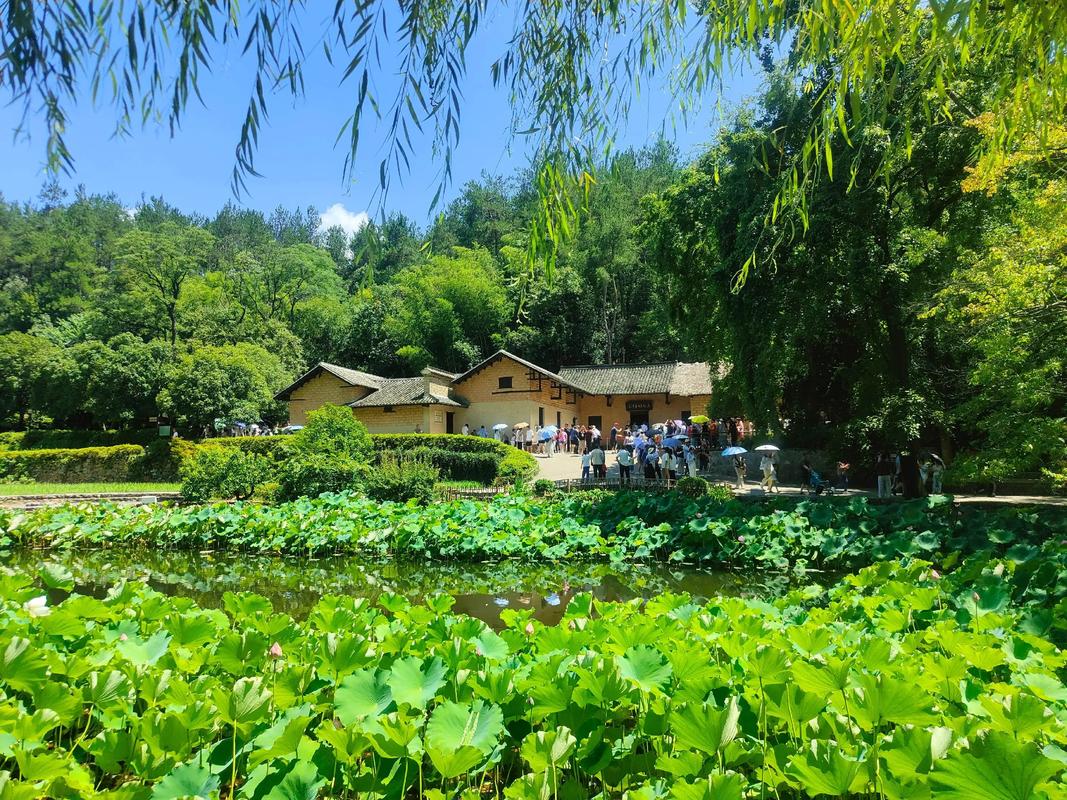 1773038294850498.jpg 1773038294850498.jpg